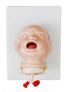 The Model of Newborn Intubation